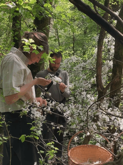 with Suzanne Bernhardt and Phillip Kolman